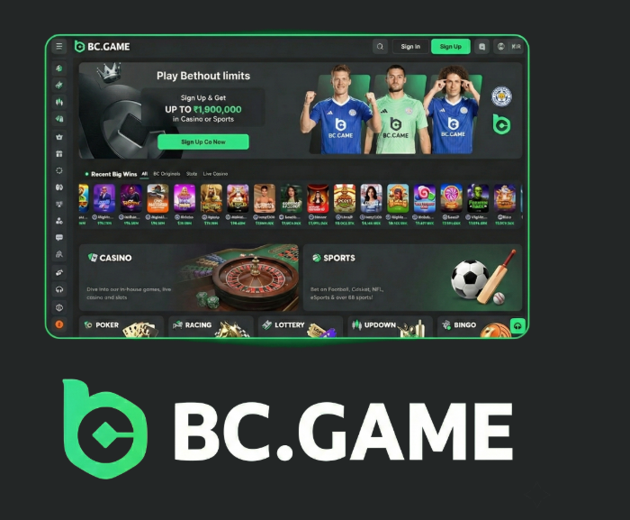 Explore the Excitement of BC.Game Casino Your Ultimate Gaming Destination